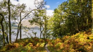 The West Highland Way: Data shows more walkers than ever are taking on the 96-mile route that runs from Milngavie to Fort William.