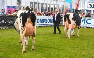 Northern Irish farm shows are getting support following the impact of Covid