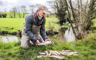 Richie Morris of Fly Fishing Yorkshire with dead fish pulled from Skeeby Beck and Gilling Beck.