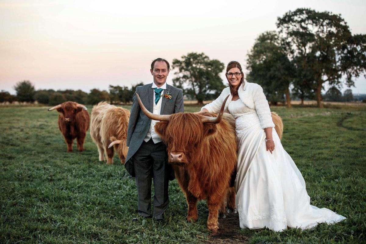 Fiona and Darren Cox, were married at Egleton Church in Rutland, with their Chater Fold of Highland Cattle providing the photo opportunity