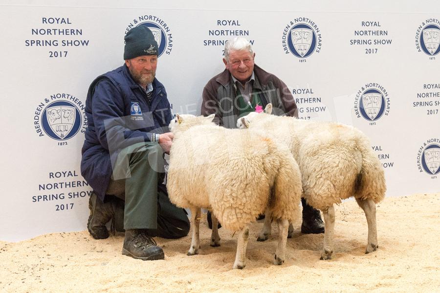 Prime sheep champions were the pair of Beltex x from Dave Black. Ref: RH13171055