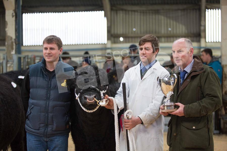 Senior champion went to Blackcraig Xcaliber from Messrs J and A Finlay. Ref: EC170217956