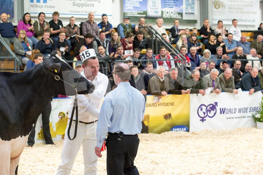 Crowd watch on as  Roger Turner picks out his intermediate champion La Croisiere Infinity from Blythbridge lead by  David Gray. Ref: RH113171173.