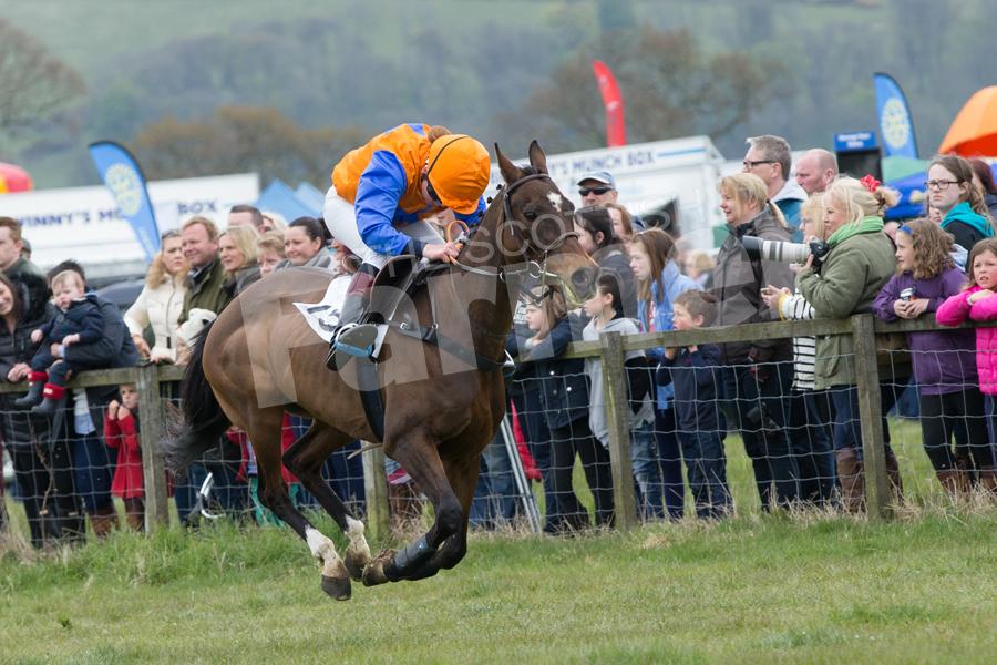 Tricky Vicky ridden by 13 year old Tara Stockwell finished in third in the Perth Racecourse-sponsored 148cm and under race. Ref: EC2904171229.