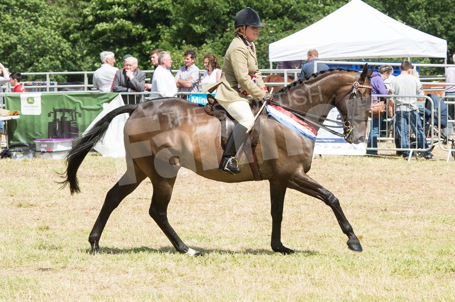 Overall horse champion was King Brex  from Hilary Mackie. Ref: RH17617367