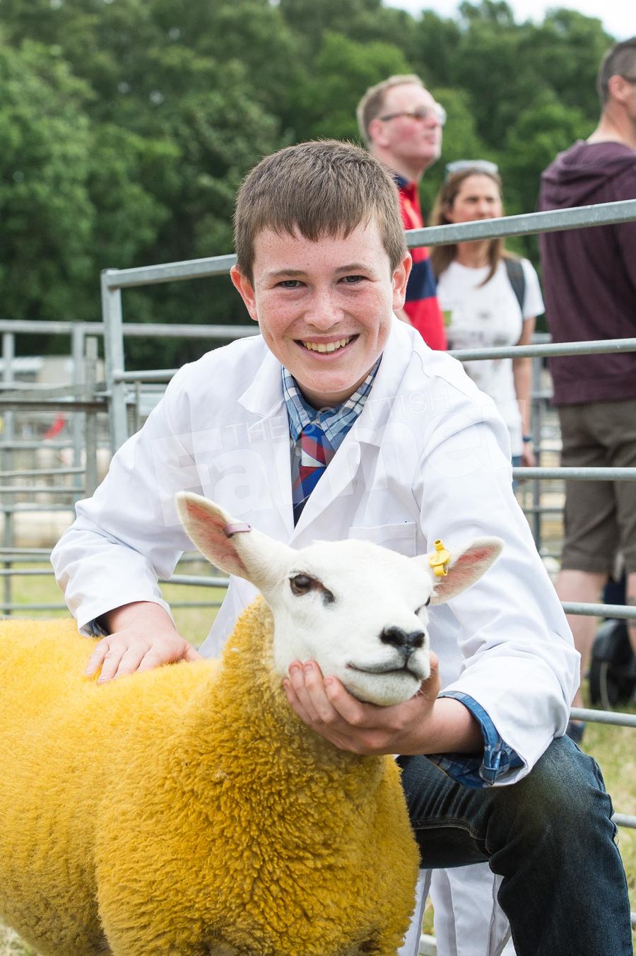 Young handler champion in the sheep section went to 14 year-old Fraser Dandie. Ref: RH17617348