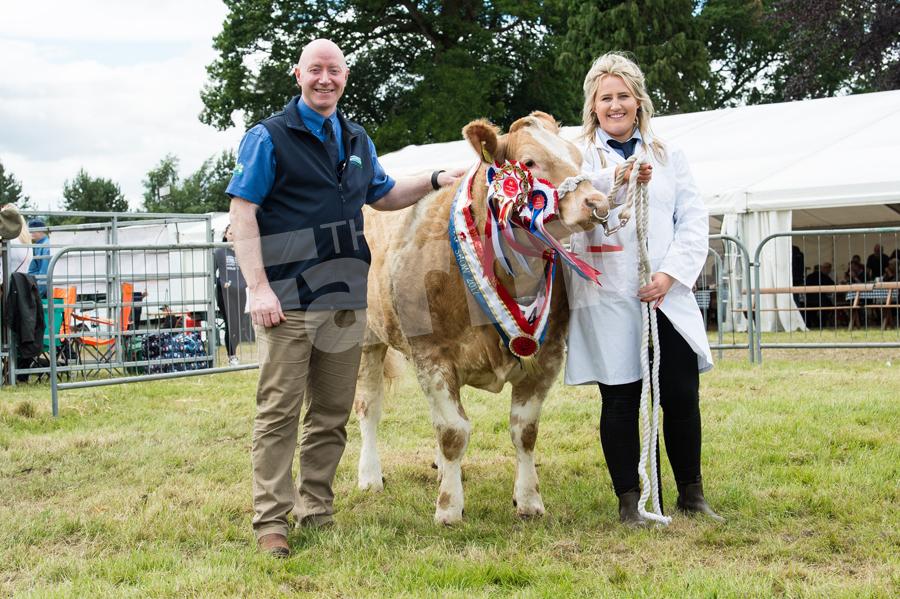 Vice-Presidents of NFU Scotland, Gary Mitchell with his champion of champions Gold Rush shown by Rebecca Stuart. Ref: RH1717078