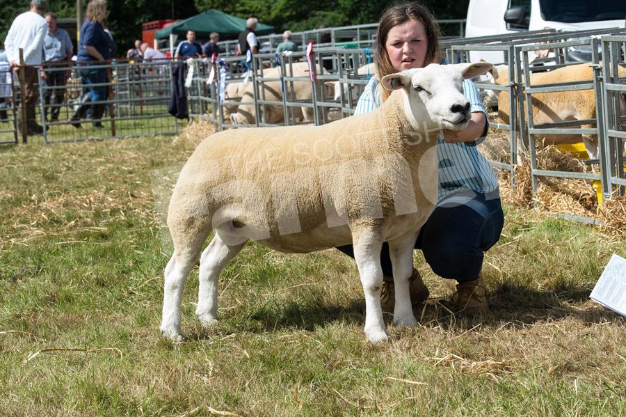 Jemma Green's gimmer took the texel and inter-breed sheep title. Ref: RH1717055