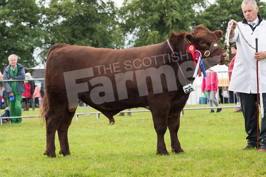 Any other breed title went to the shorthorn from the Jacksons. Ref: RH22717484