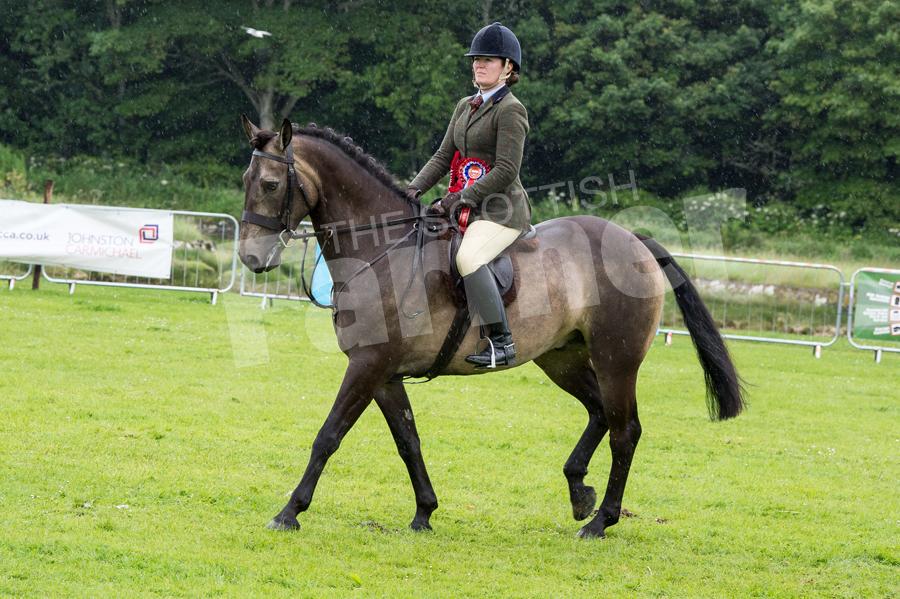 Horse Champion was the  Working Hunter champion Sterling from Ruth Sutherland. Ref: RH15717411
