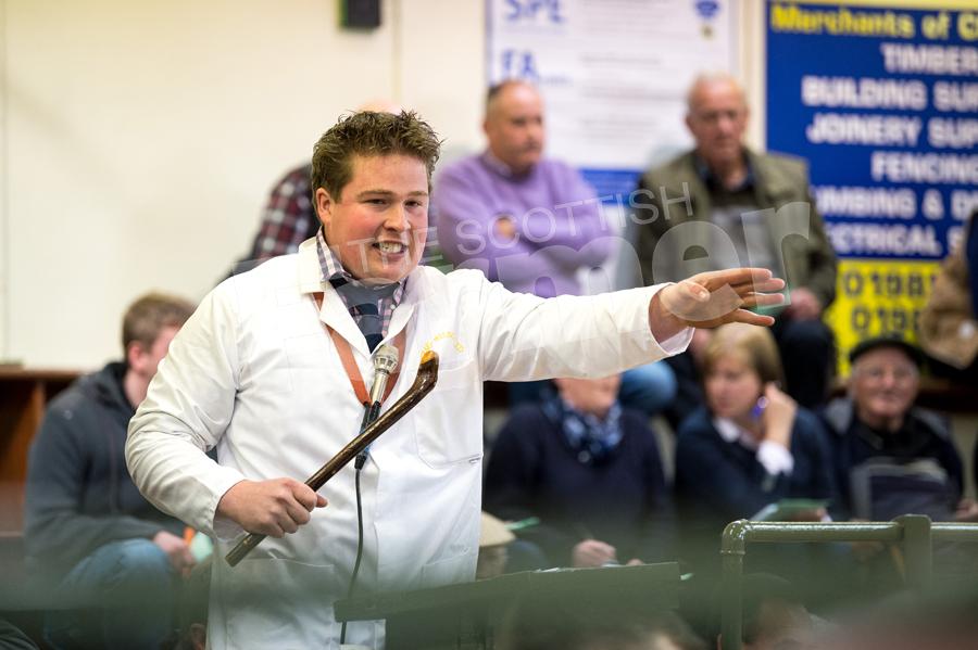 Auctioneer  Drew Kennedy selling at the annual sale of Black-faced rams at Newton Stewart.  Ref: RH0510170064.