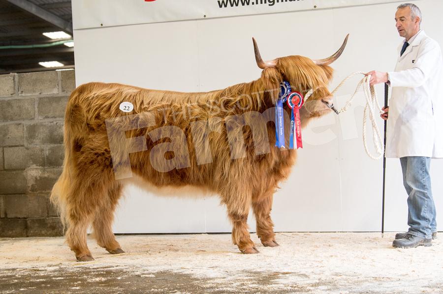 Top price of the day went to Michael Poland for Sguillin 4th of Mottistone  selling for 4000gns. Ref: RH0910170051.