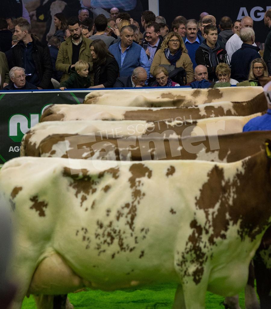 Agriscot attracted a large crowd of people to watch the Judging.   Ref: RH1511170203.