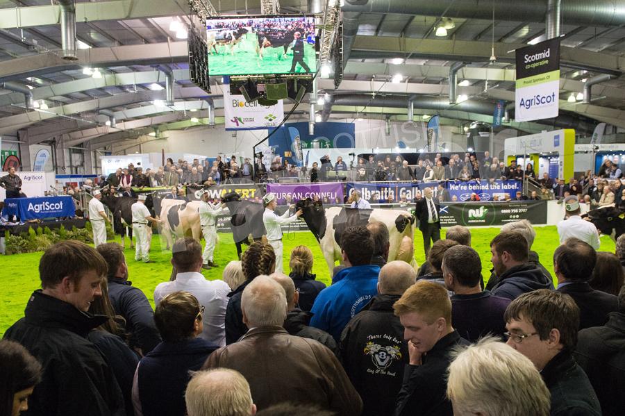 Ring was packed for the overall Holstein champion at Agriscot. Ref: RH1511170205.