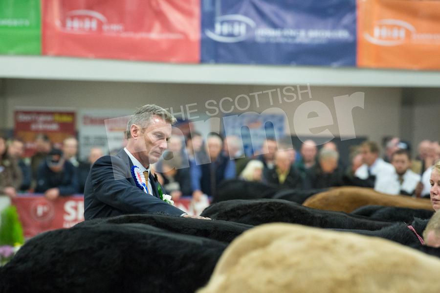 Chris Pennie busy judging the heifers in the Suckled calf ring.  Ref: RH0311170063.