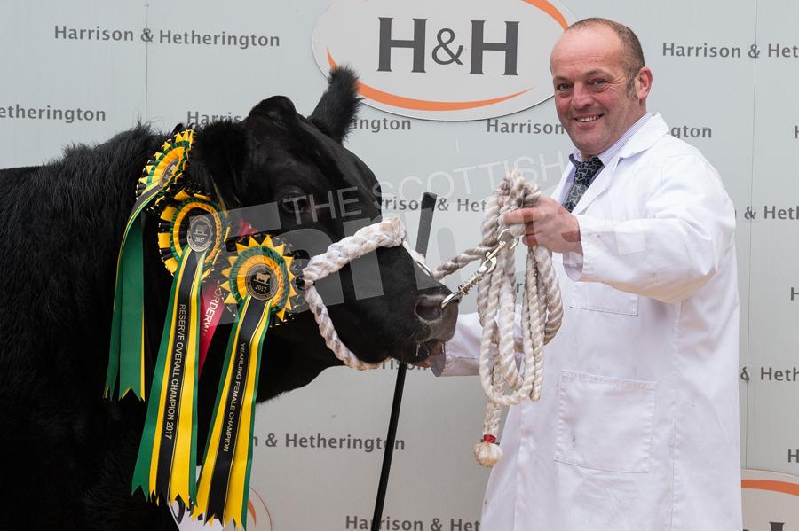 Dallas Allan with overall Aberdeen Angus  Stouphill Patsy. Ref: RH0311170055.