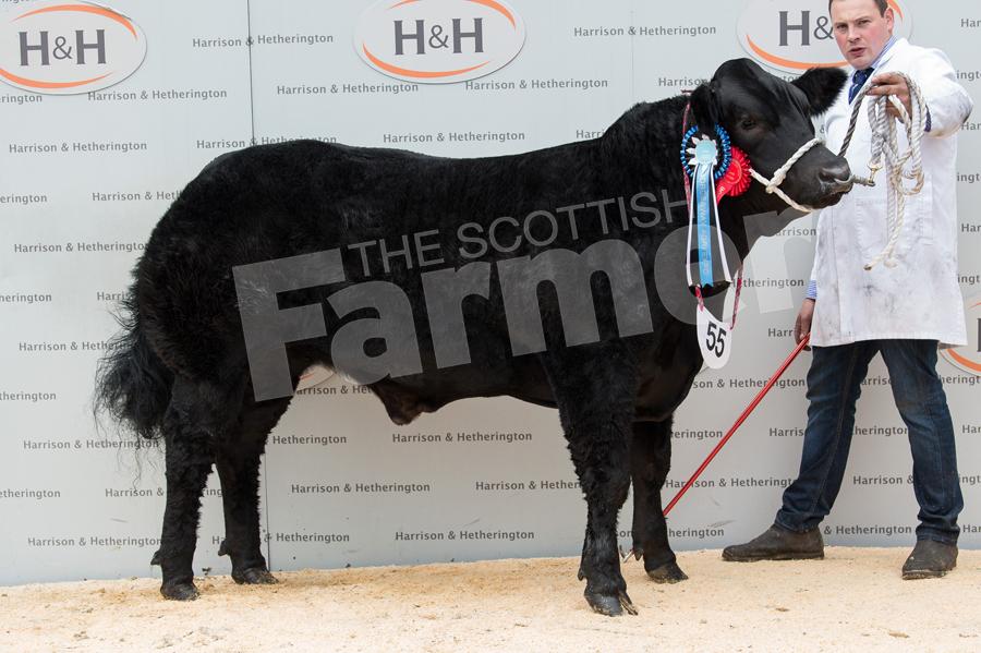 Jimmy took the reserve steer title for Harryman and Warriner.  Ref: RH0311170037
