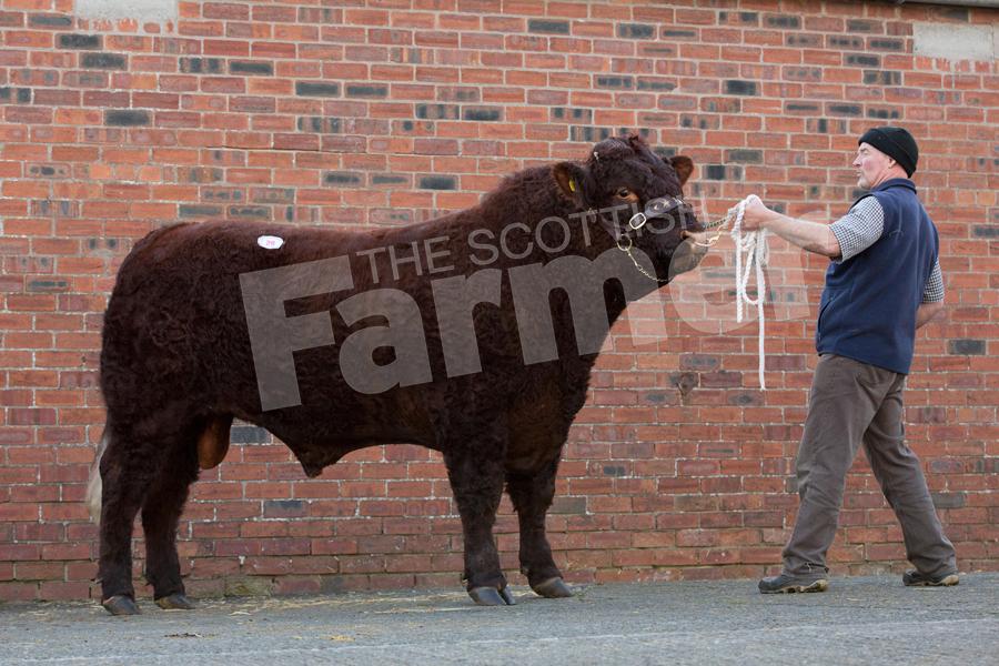 Witebog Karbolic from Mr A MacKenzie sold for 7000gns.  Ref: EC0411172149.