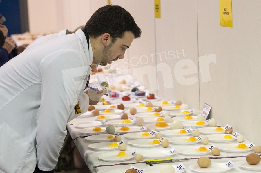 Jed Dwight judging the egg contents class. Ref: RH200118061.