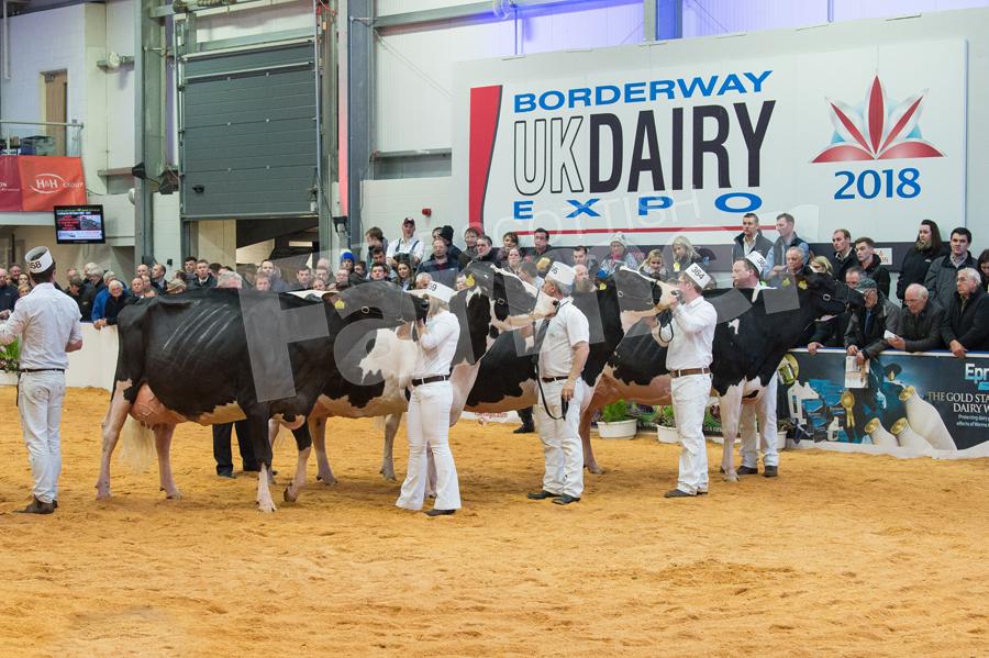 Large classes  of Holsteins were on show at Borderway UK Dairy Expo at Carlisle. Ref: RH100318146.