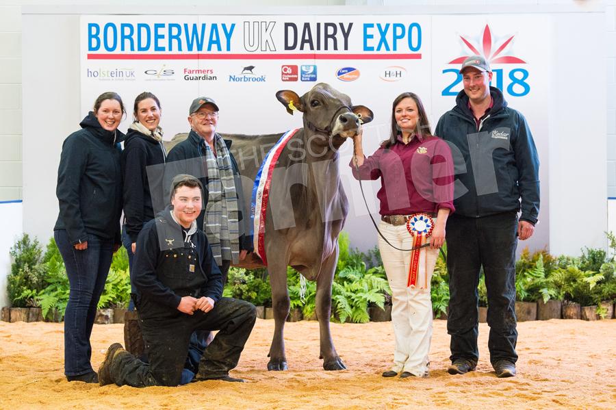 Brown Swiss champion and overall reserve Kedar Rhapsody and the rest of the Kedar Team. Ref: RH100318155.
