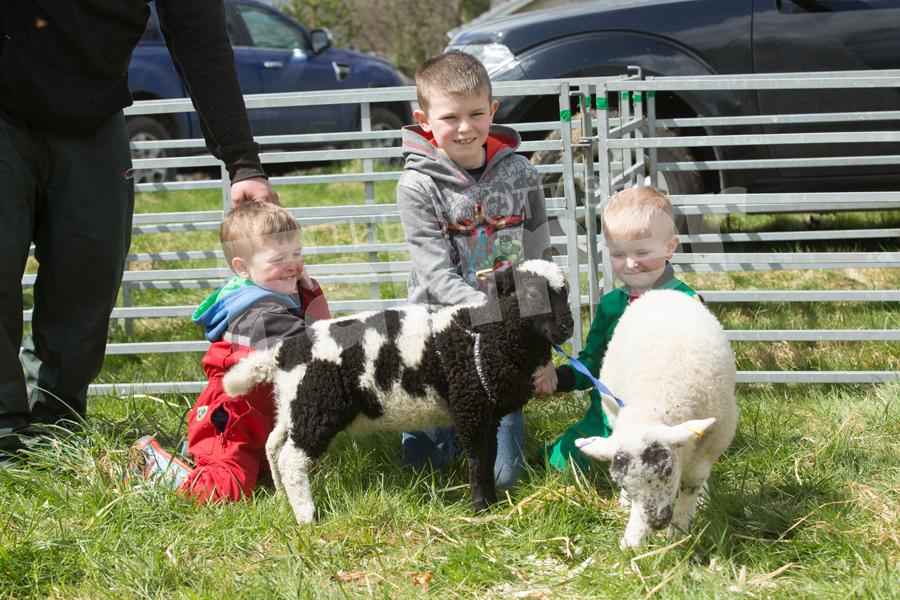 David Tulloch (3), James Scott (8) and Noah Scott (3) with their pet lambs Happy Feet and Teeny Weenie. Ref: EC2804182782.