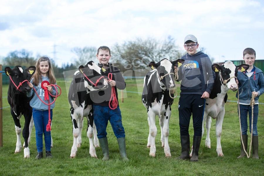Team of calves from Newlands Farm, Kilmaurs handled by (L to R) Catlin Montgomerie (8), Euan Auld (11), Cameron Montgomerie (9) and Robbie Auld (14). Ref: EC2104182745.