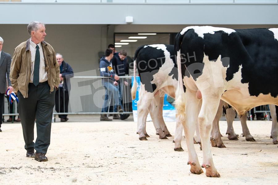Alistair Laird from the Blythbridge Holstein herd judged the pre-sale show. Ref: RH110418040.