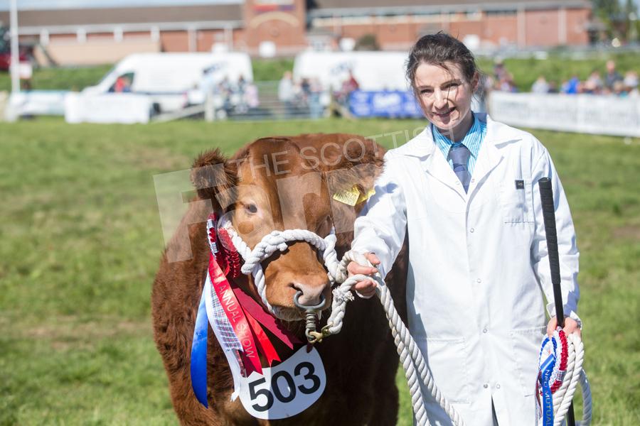 All smiles for beef inter-breed champion   Ref: EC1205182852.
