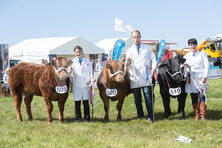The team of commercial beast that stood group of 3 inter-breed champions. Ref: EC1205182847
