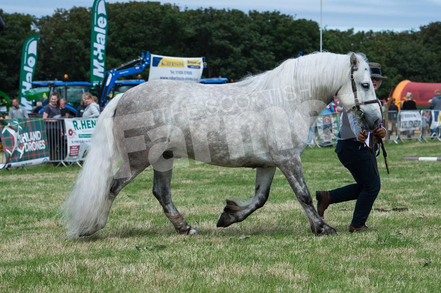 Natalie MacDonald and her highland pony and overall horse champion Braehillor King Duncan. Ref: RH210718047