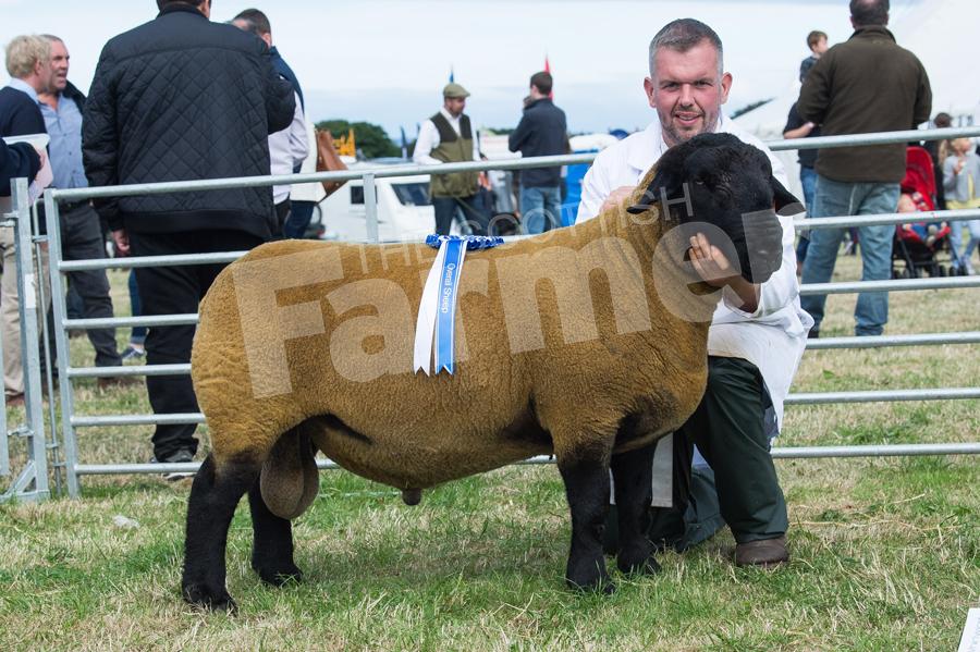 Suffolk champion from the Kenneth, Stephen and Kenneth Sutherland. Ref: RH210718044