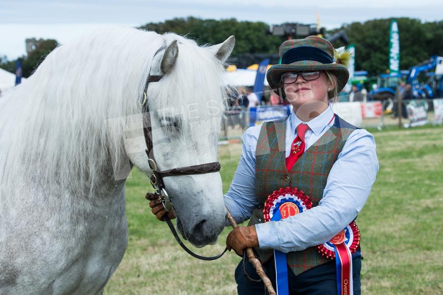 Natalie MacDonald and her champion highland pony Braehillor King Duncan. Ref: RH210718048