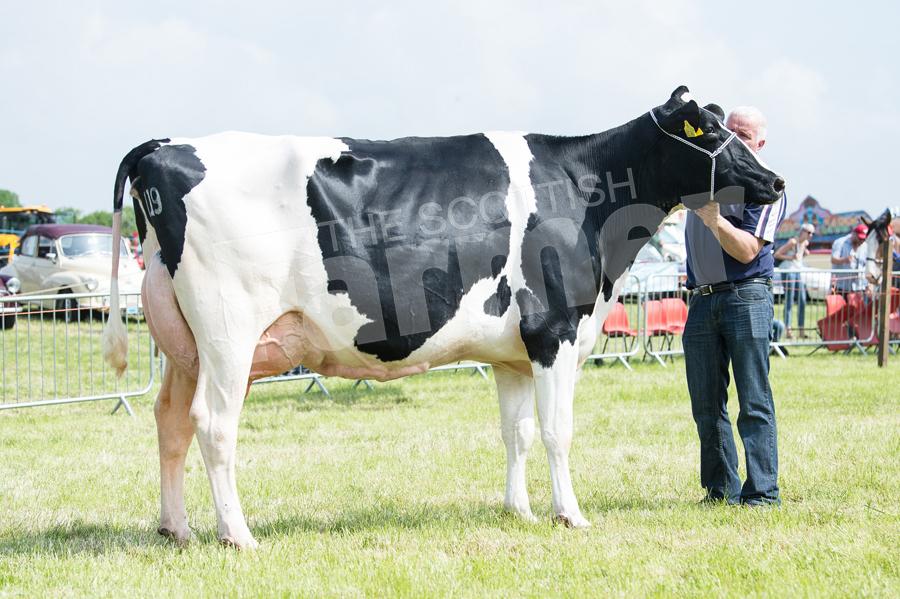 Dairy Champion Boclair Windbrook Hope 6 from the Brewsters. Ref: RH020618073