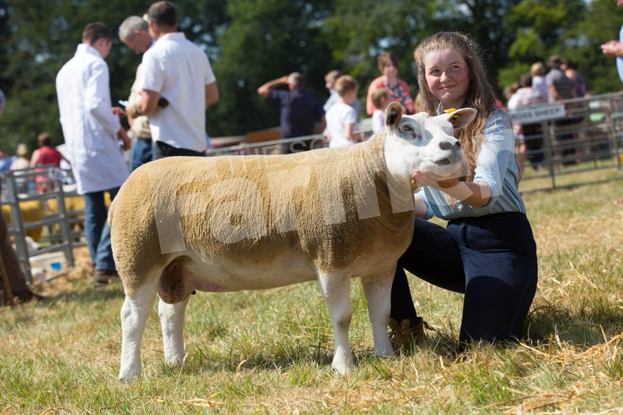 Texel champion went to the ewe from Jemma Green. Ref: EC0707183331