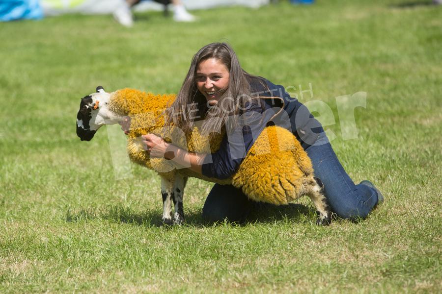 Stirling Show 2018