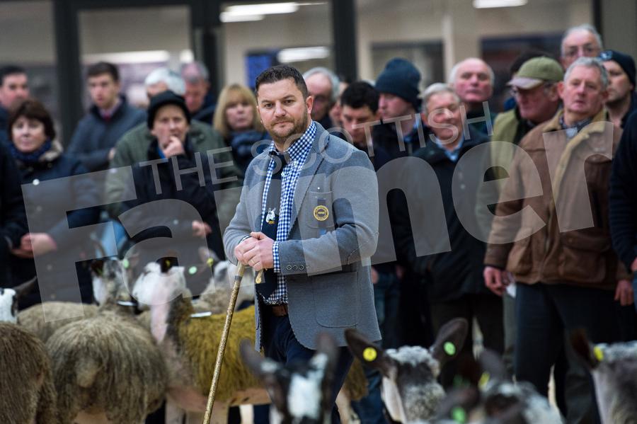 All eyes on Gary Beacom as he judges  the Bluefaced Leicester Classy Lassies pre sale show at Carlisle. Ref: RH210119014.